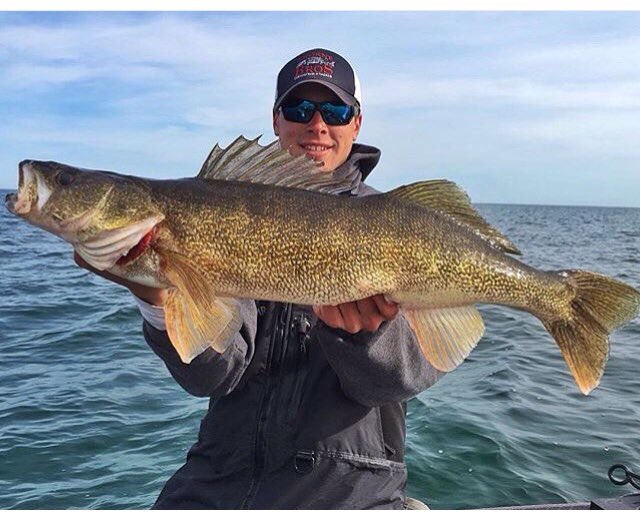 Check out this 33" from brad  #midwestfishing #walleye