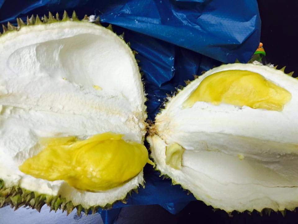 twt_utp's tweet photo. The Durian Festival. 29/05/16. https://t.co/S8PQULAd2V