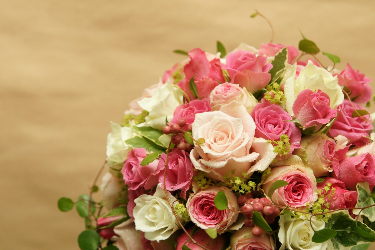 j_married's tweet photo. Premier volet du dossier sur les bouquets de mariée : nos conseils pour choisir vos fleurs ! https://t.co/dGaZWZUwzn https://t.co/Ag7Ct9wgAG