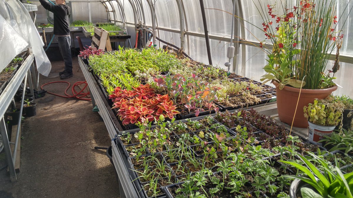 Saltfleet Horticultu tweet media