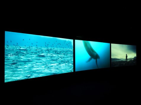 #pickoftheweek Vertigo Sea by John Akomfah @newlynexchange bit.ly/1WNFOza