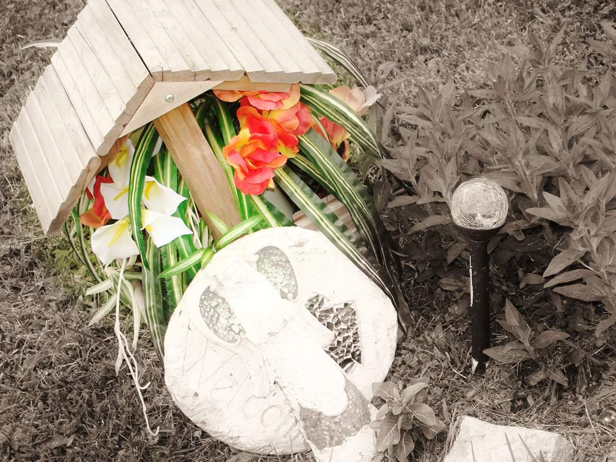 AleDan_Studio tweet picture