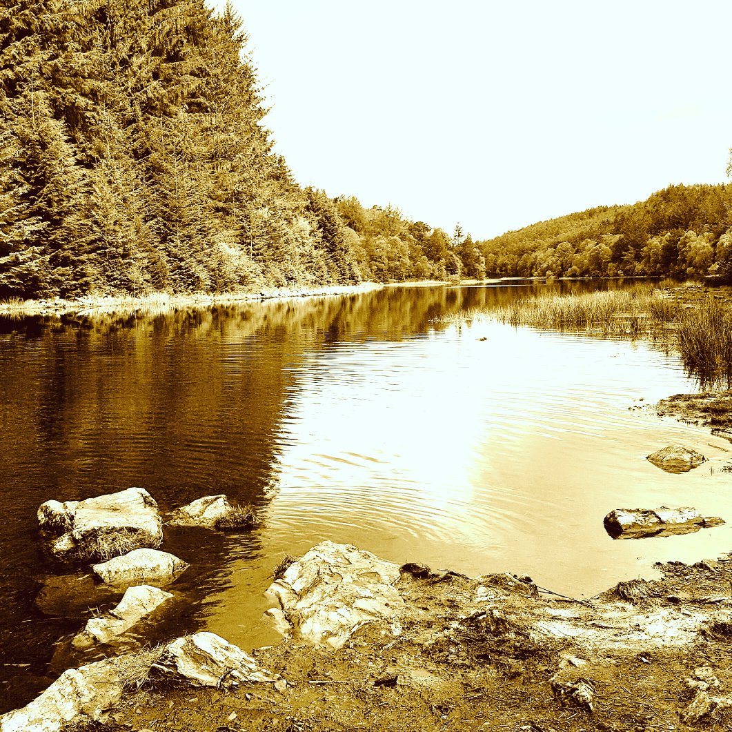 CassMcIlveen's tweet image. #NorthWales beauty #LlynParc #Lake