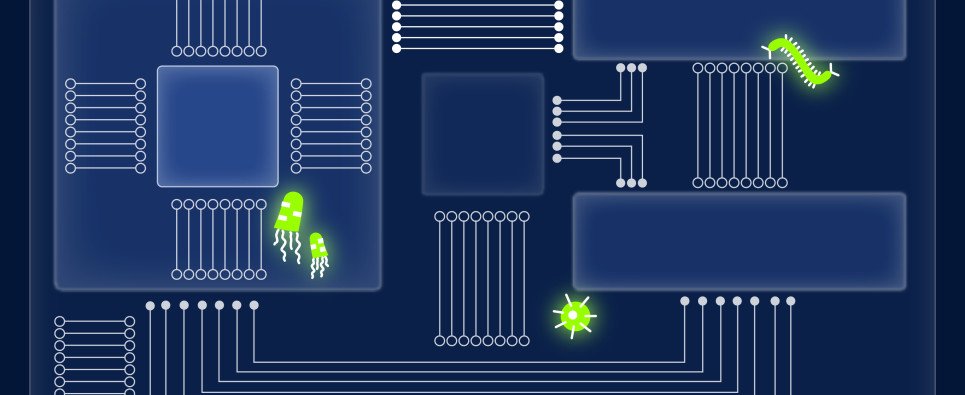 EpsilonSC's tweet image. How to Tell if You're Infected with Malware
epsilon-e.com/2016/05/17/how…
#malware #RVA #tech #computing