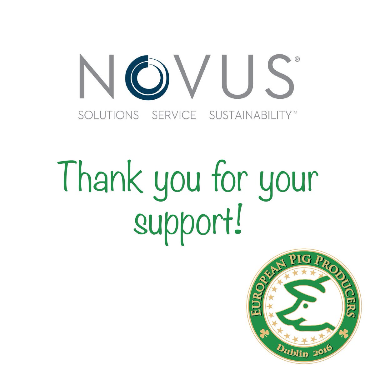 EPP Ireland branch tweet media