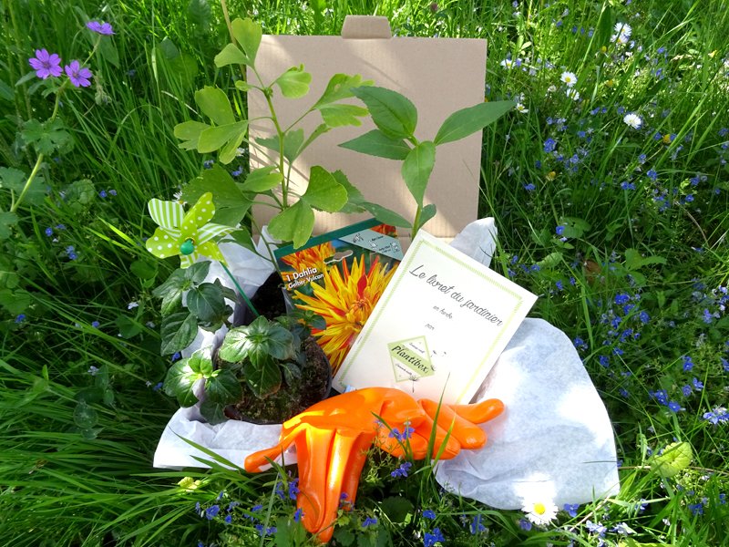 Plantibox's tweet photo. La #Plantibox arrive chez vous ! Retrouvez dans notre #box de #jardinage de #mai #DIY #jardin, des #plantes #rares https://t.co/TORtOeeWgp