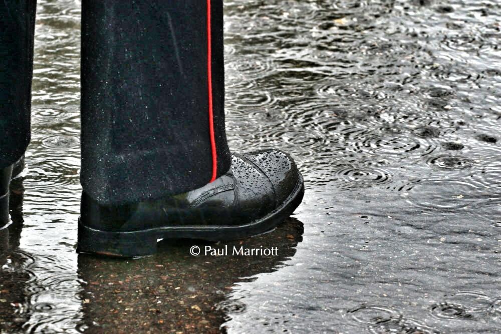 marriottphotos1's tweet photo. It rained #StateOpeningofParliament #rain #coldstreamgds #wet #boot @BritishArmy @ArmyInLondon #soldier #London https://t.co/4wWEqQS9y7