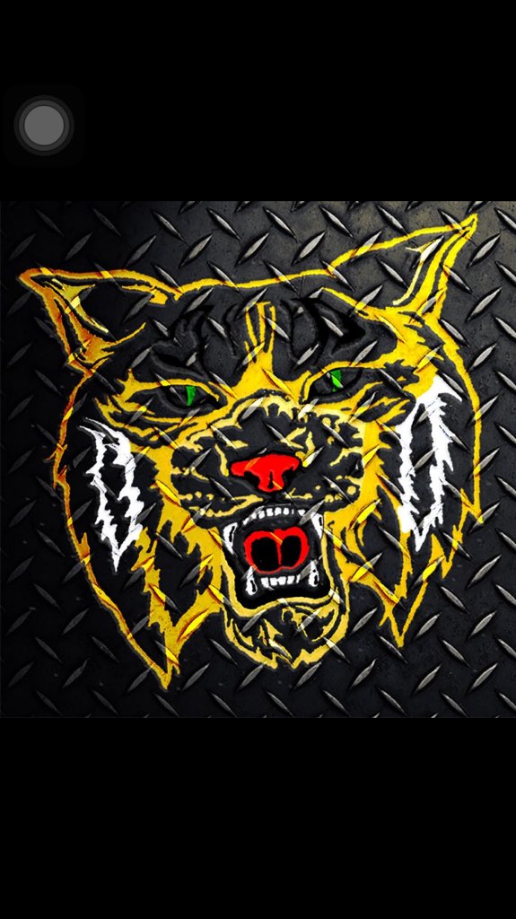 New wildcat logo re-tweet if you approve