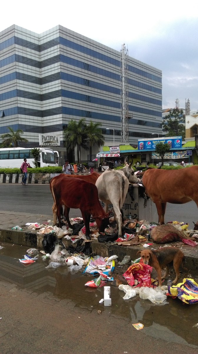 YPFI_APJ's tweet photo. @MoHFW_INDIA  #omr #Chennai 
#SwachhBharat  #cleanindia https://t.co/I6W0ce6SlD