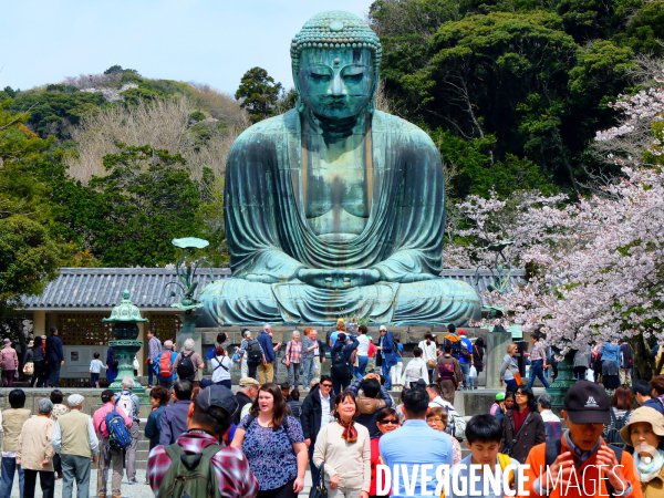 DivergencePhoto's tweet photo. Le grand Bouddha de Kamakura #photo  © Mathieu CUGNOT https://t.co/hW1RCp1QM7 https://t.co/GkZbL7PxPM
