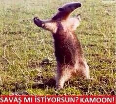 Kareem_Said3's tweet photo. Seni okuldan atarım diyen hocalara karşı duruşum; https://t.co/B41XRjyHlq