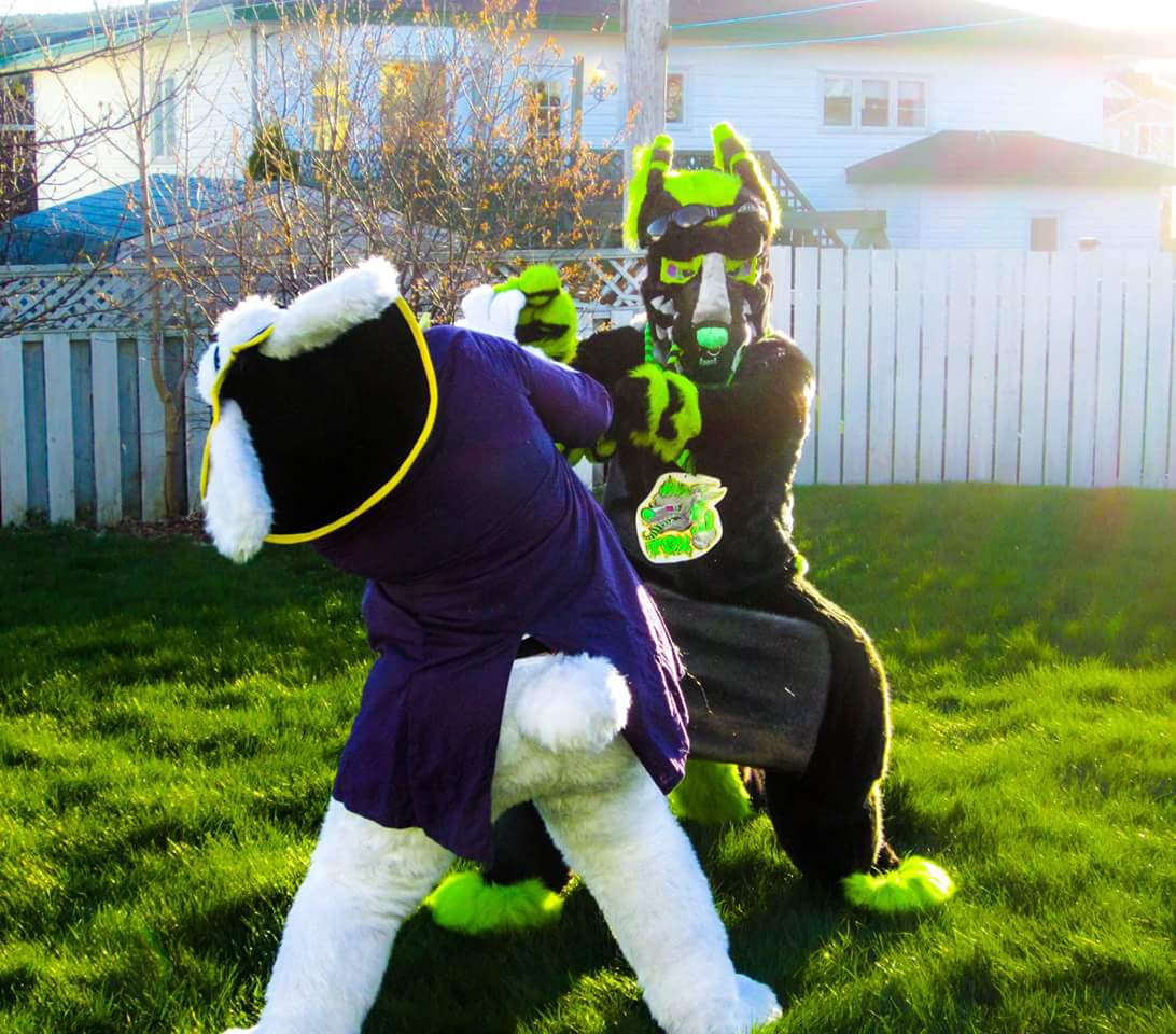 NLFurries's tweet photo. Blast at the furmeet this weekend! :D two trouble makers stomping around! https://t.co/P98u7BaGQW