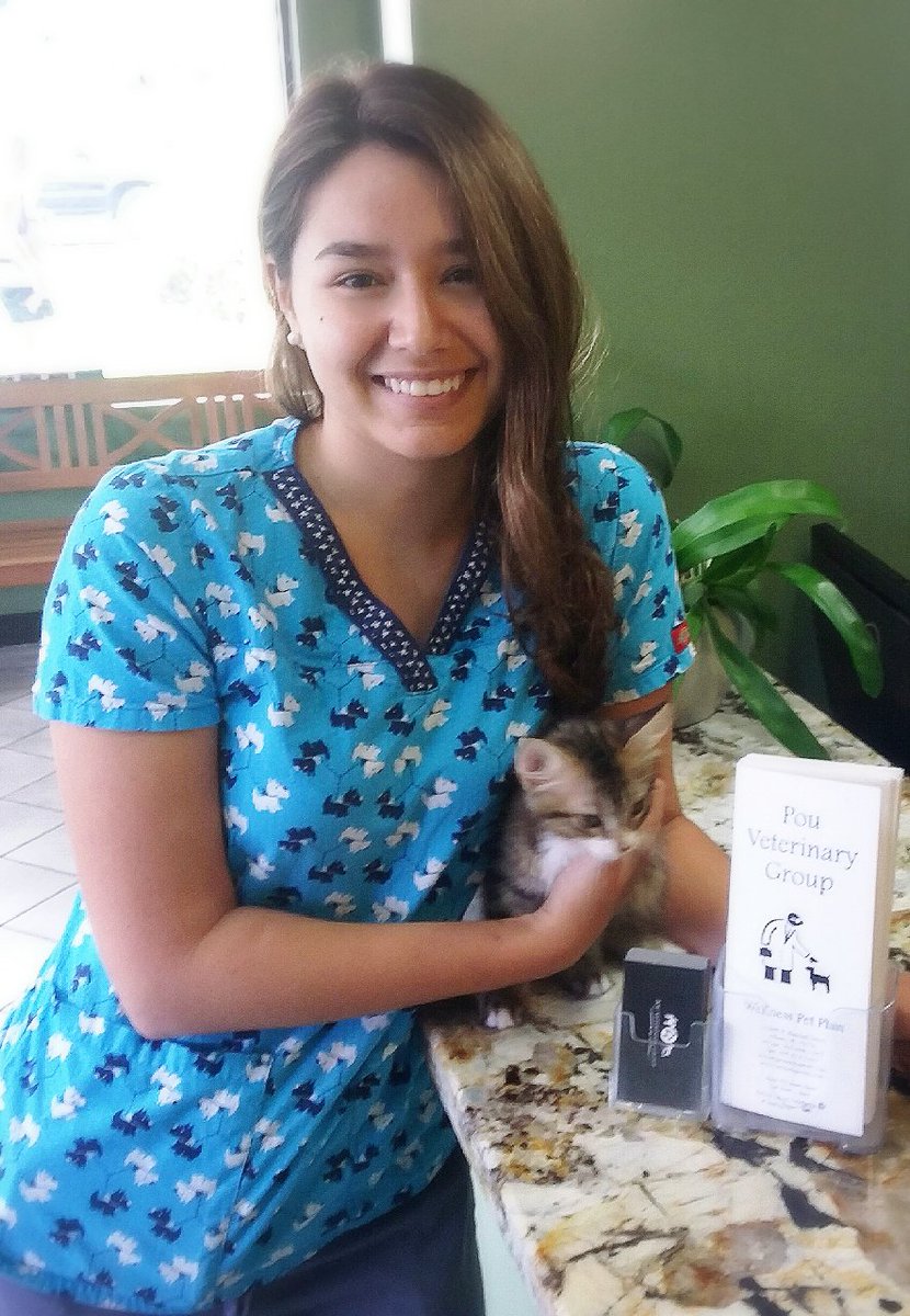 PouVetGroup's tweet image. Here is Priscilla with one of our 6 kittens looking for a forever home!! Call us (305)598-1425 #keepingupwithpvg