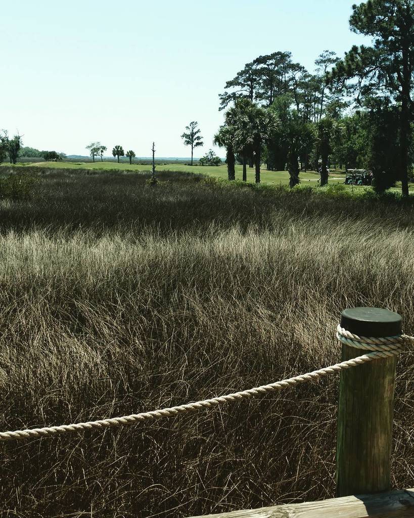 kingandprince's tweet photo. Happy #NationalGolfDay from our fav course on St Simons! #kingandprinceresort #stsimonsisl… https://t.co/JjzD7BjMPJ https://t.co/BpfD7emsIo