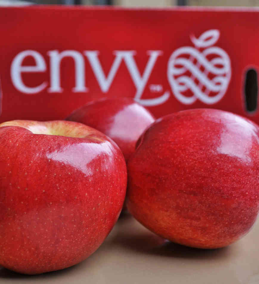 PortalFruticola's tweet photo. Chile es el único país en Latinoamérica que produce la codiciada manzana Envy https://t.co/Wf1mVtuEob https://t.co/mv2KYVbSCA