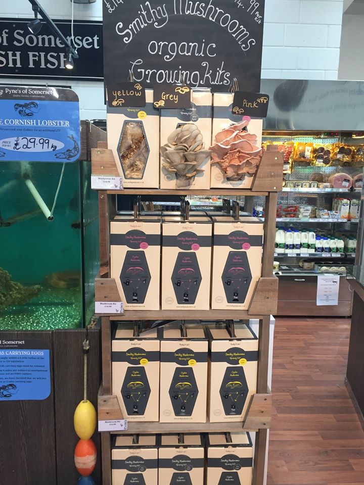 Our Growing Kits now available <a href="/PynesofSomerset/">Pyne's of Somerset</a> just £14.99! #NationalVegetarianWeek 
facebook.com/permalink.php?…