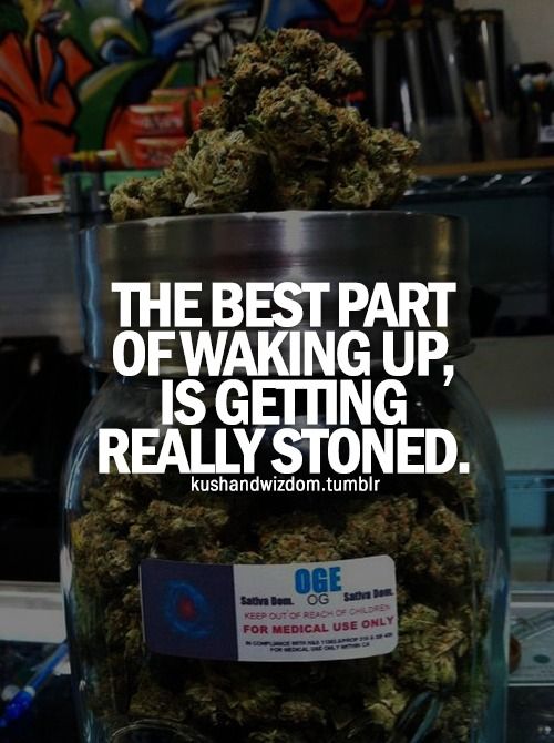 weedydotcom's tweet image. Have you already waked up? #weedy #wakenbake #high #marijuana