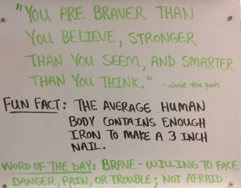 ShayneLibrary's tweet image. The Shayne Daily Star