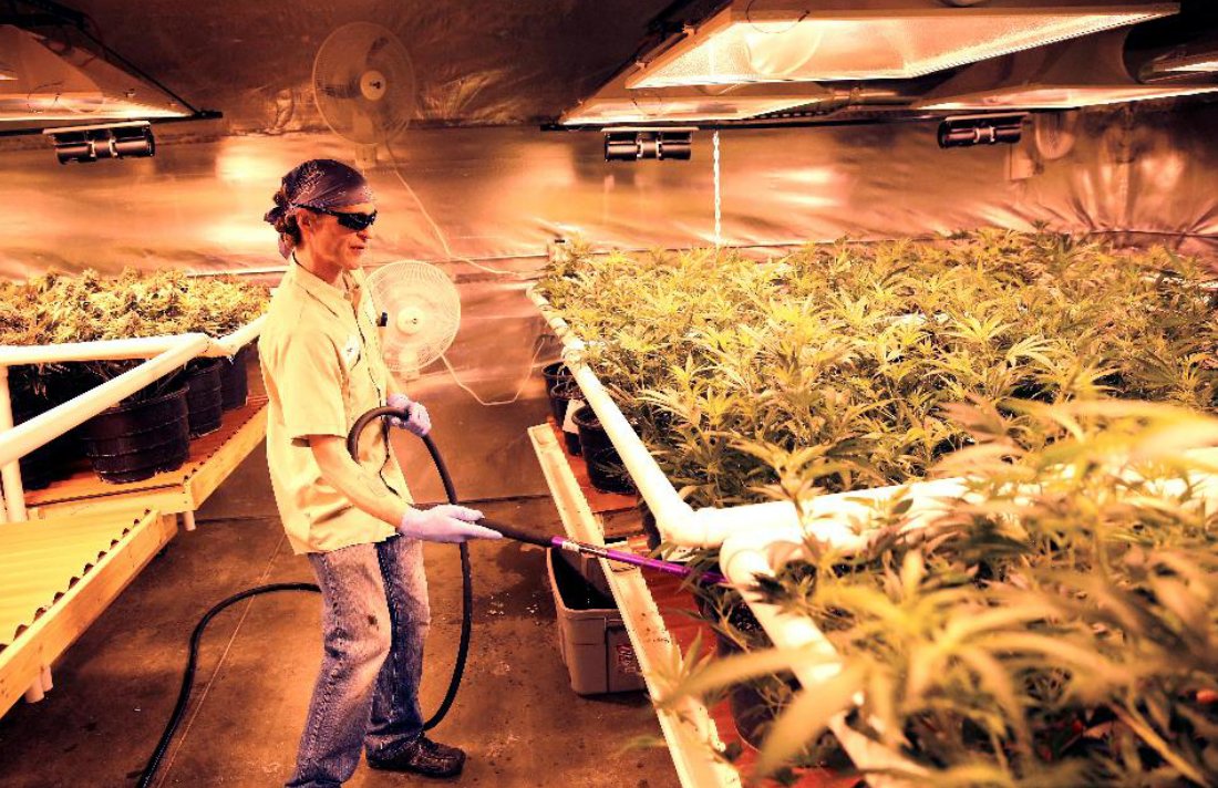 CannabisCulture's tweet photo. How Retail Lows Could Lead to Marijuana Highs #retail #business #industry #USA #money https://t.co/vKcAtYmd2g https://t.co/0Kfp26YDrU