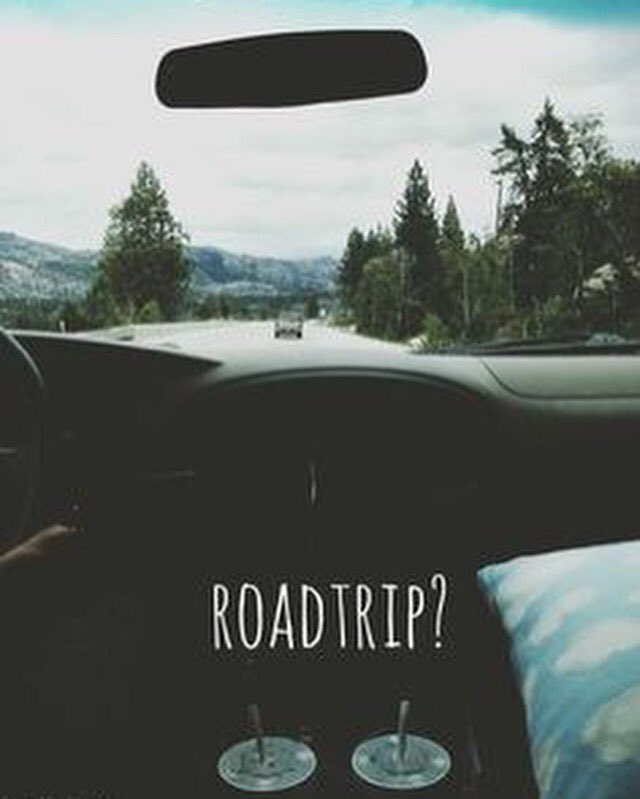 TripCommander's tweet photo. Enjoy #VisitYourRelativesDay with #TripCommander  #family #fun #roadtrip #travel #getaway

https://t.co/DIM6N8H7np https://t.co/RQIaIukusy