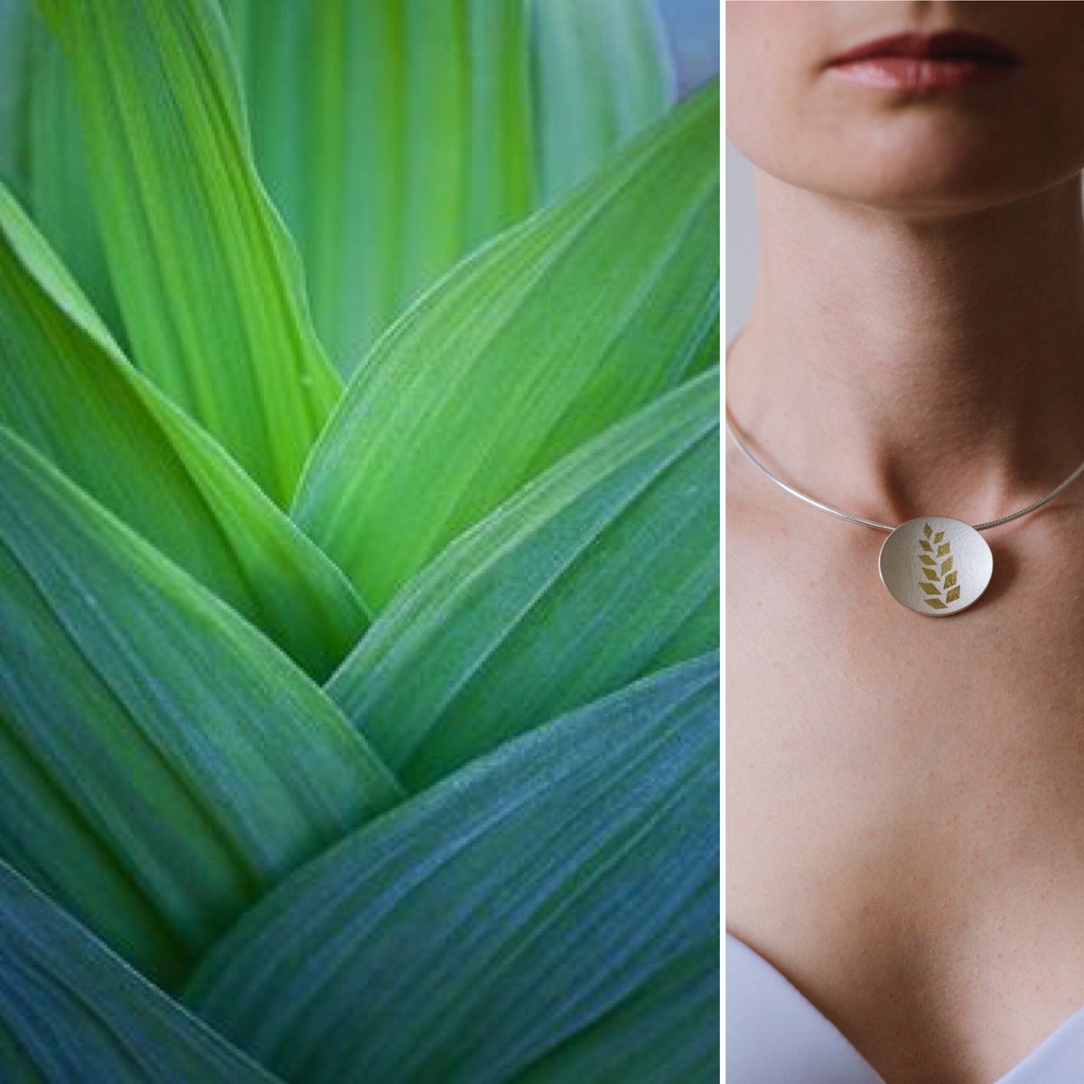 JillGJewellery's tweet photo. I love this pic... it really shows the inspiration behind the pieces! #nature #organicstructures #Leafs https://t.co/ahjVCz7OKF