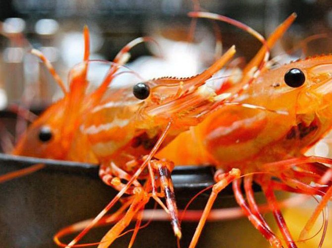 DailyHiveVan's tweet photo. Here are 5 delicious seafood and spot prawn festivals at local #Vancouver restaurants: https://t.co/mqyQUrLpQi https://t.co/9Tzgs9VF9D