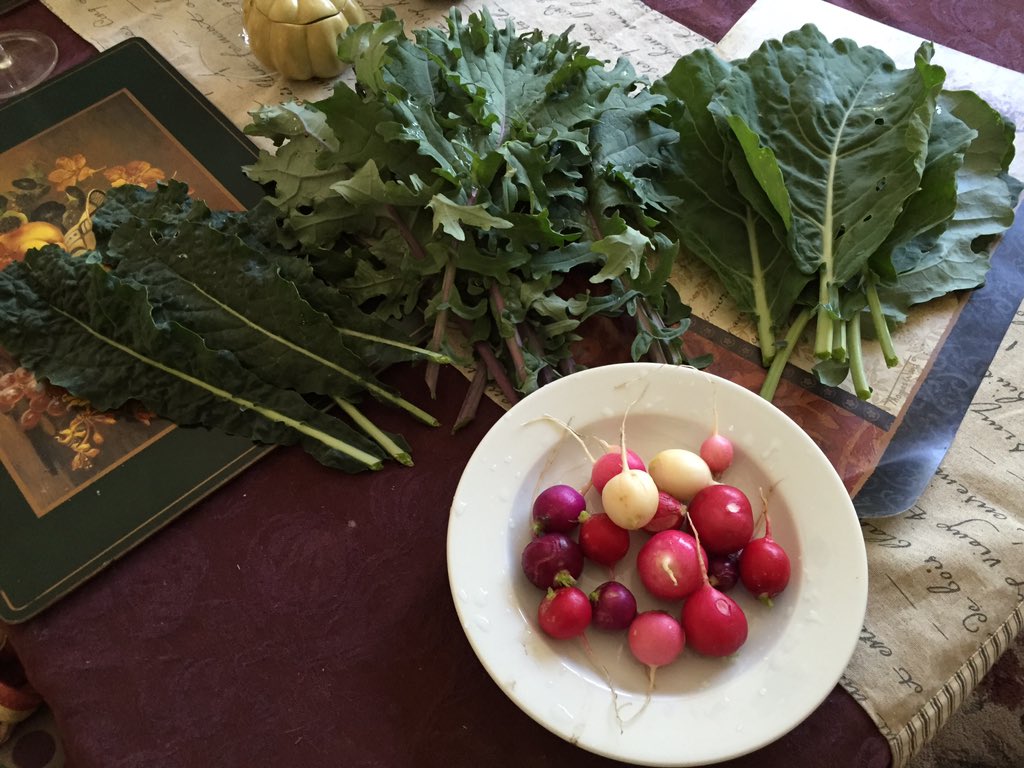 inwardexplore's tweet image. So excited for our first harvest!