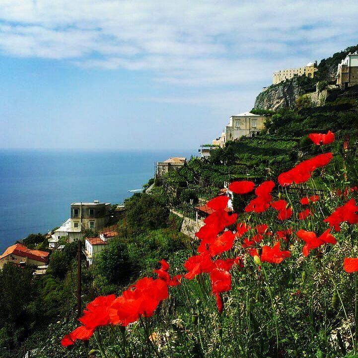 Nidoverde's tweet photo. #amalficoast #may https://t.co/m6xvaxs3Nw