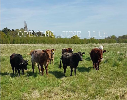 We’re bringing amazing produce to Putney High St every Saturday from 11th June. Like <a href="/PicksOrganic/">PicksOrganic</a> organic beef