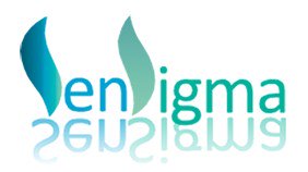 ZellLurie's tweet photo. On-stage now at #MGCS2016: Sen Sigma, innovating sensing & quality control techniques for welding industries @UMOTT https://t.co/mDZTYNLSDT
