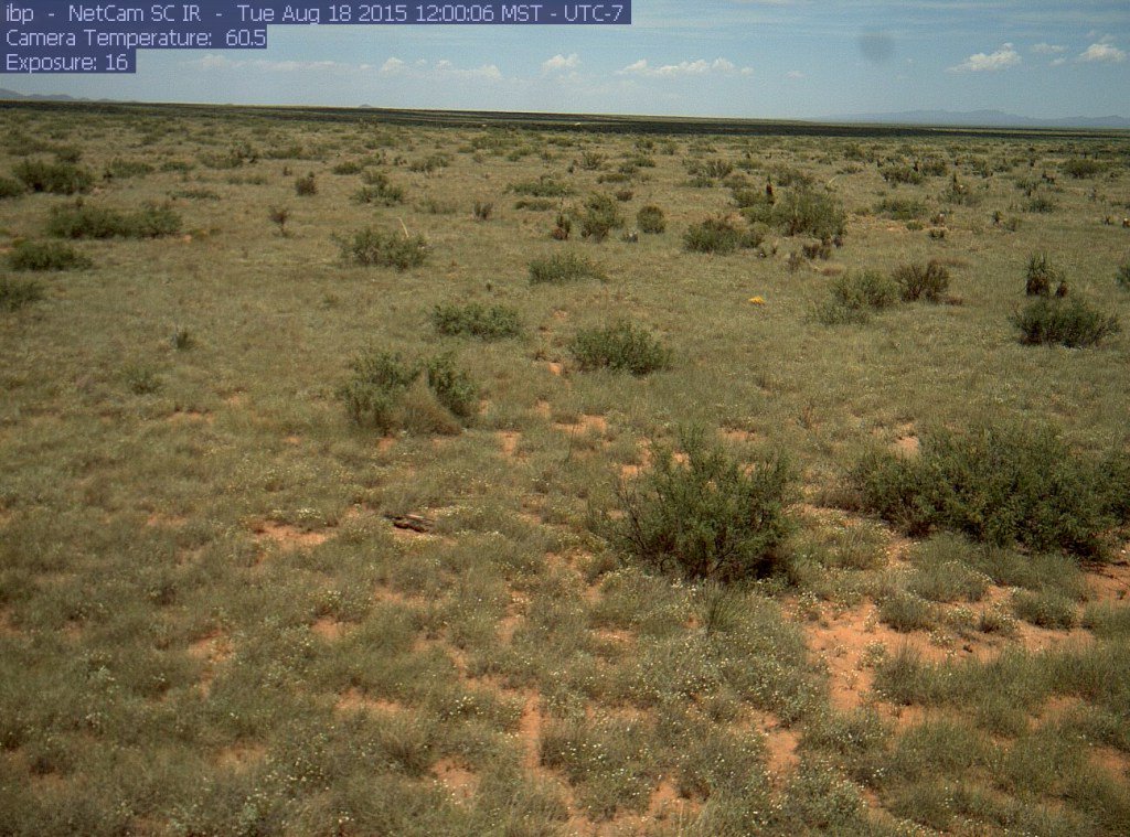 SeasonSpotter's tweet photo. Season Spotter Jornada https://t.co/ZaBfm5fTJ0 https://t.co/HOE84PwB9g