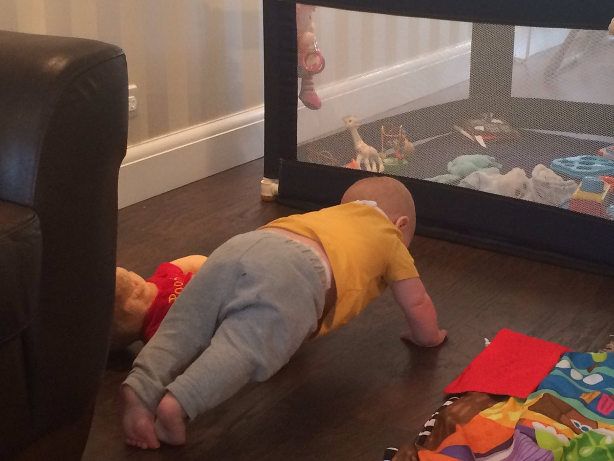 MatchFit_Youth's tweet photo. Proud moment seeing my 8mth lad perform bottom up push up! And not a single coaching cue necessary! https://t.co/ctMd7ZNZcb