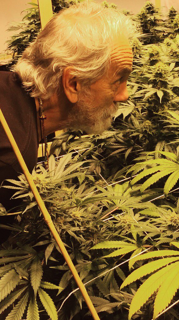 Even <a href="/tommychong/">Tommy Chong</a> likes to stop and smell the 'roses' <a href="/BudScoutsRec/">BudScoutsRecruiting</a> #mmjstaffing