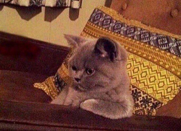 Trying to think of ways to become a millionaire overnight so you don't have to go to work tomorrow