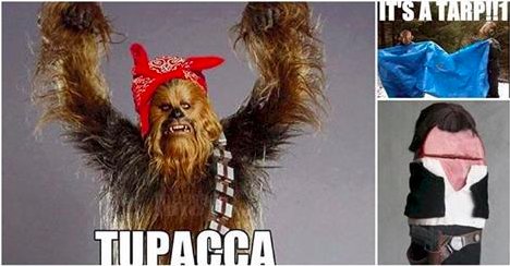 GeorgeTakei's tweet photo. Well Wookiee what we got here?If You’ve Been Looking For... https://t.co/IXRUtzeELR https://t.co/czGEQ2bBYv