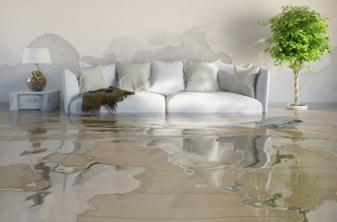 Reducing the Risk of Carpet Mold After Water Damage getarotorestoration.com/reducing-the-r…