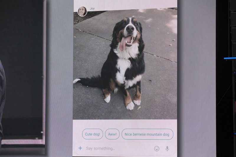 JordanE_CM's tweet photo. Allo can recognize cute dogs (even pics!) - #io16 https://t.co/RBumeZ5cJo https://t.co/fUIbh8vTIh