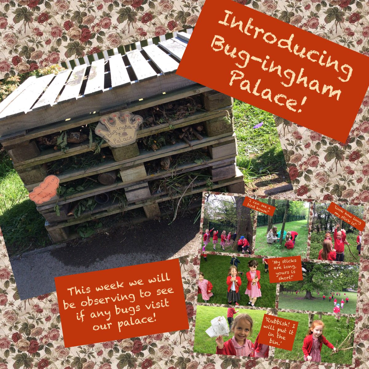 NewInnPrimary's tweet photo. Introducing Bug-ingham Palace! Reception are very excited to see if we have any visitors 🐜🐛🐞 #caringforcreatures https://t.co/FujGEm0B8X
