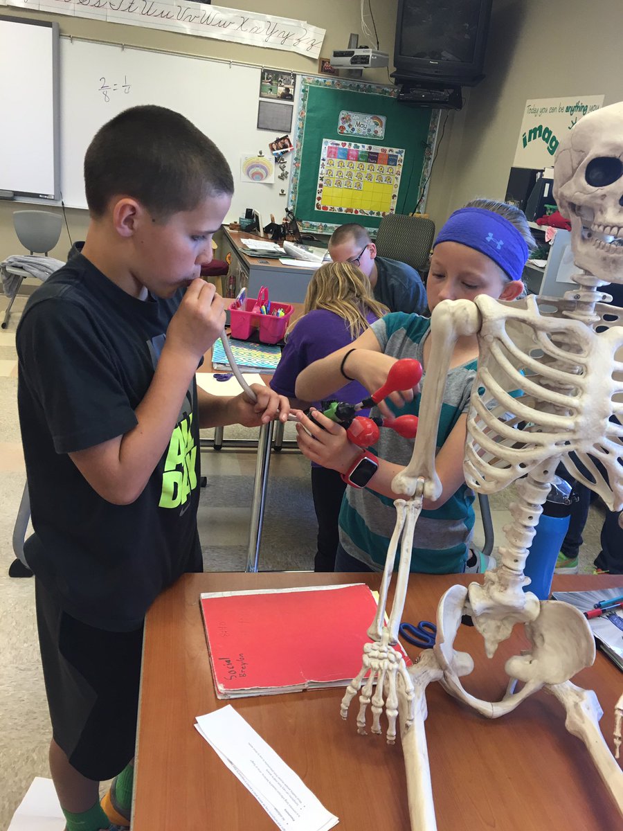 LWajer's tweet photo. Simulated lungs #breatheinbreatheout https://t.co/ReiIt1F6Xi