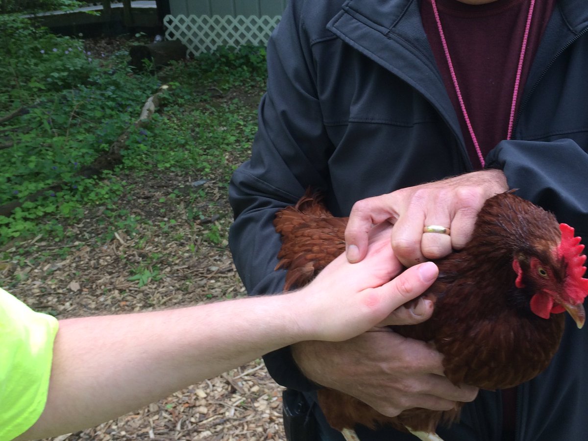 Rebecca Mancini tweet media