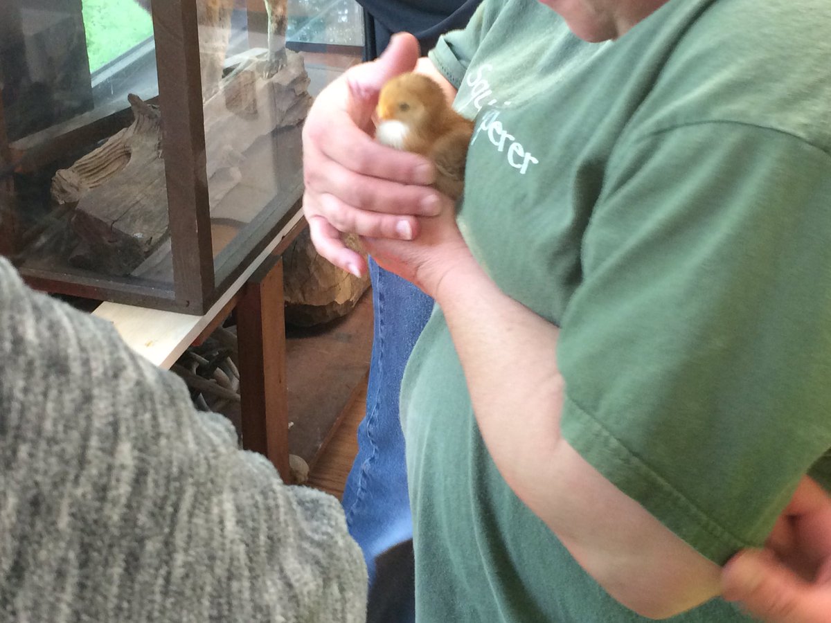 Rebecca Mancini tweet media