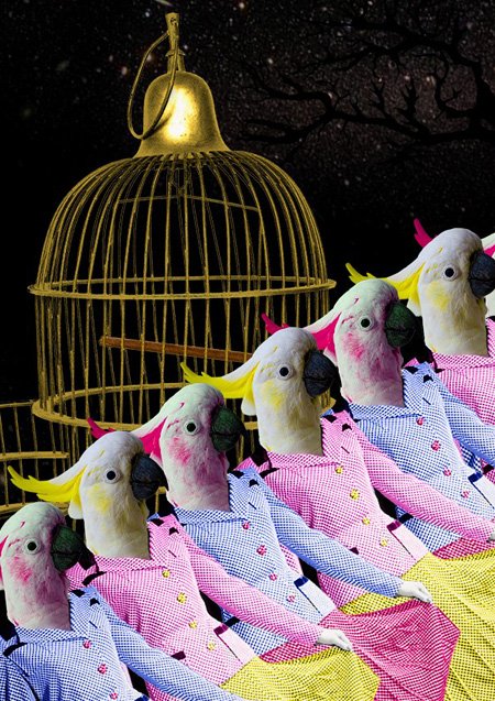 artinliverpool's tweet image. Liverpool @PhysicalFest 2016: Street Theatre Day this SAT 21 May in Liverpool city centre  buff.ly/206xo5k