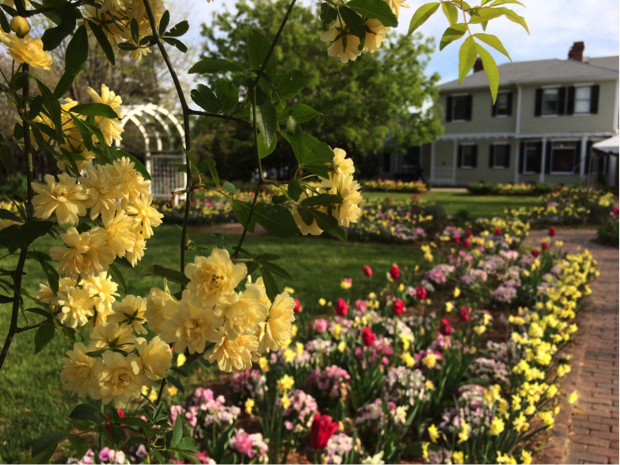 HanoverCrossing's tweet photo. The @LewisGinter Botanical #Garden is one of the best in the #USA and it’s located here in Richmond! https://t.co/IMVj39xFjD