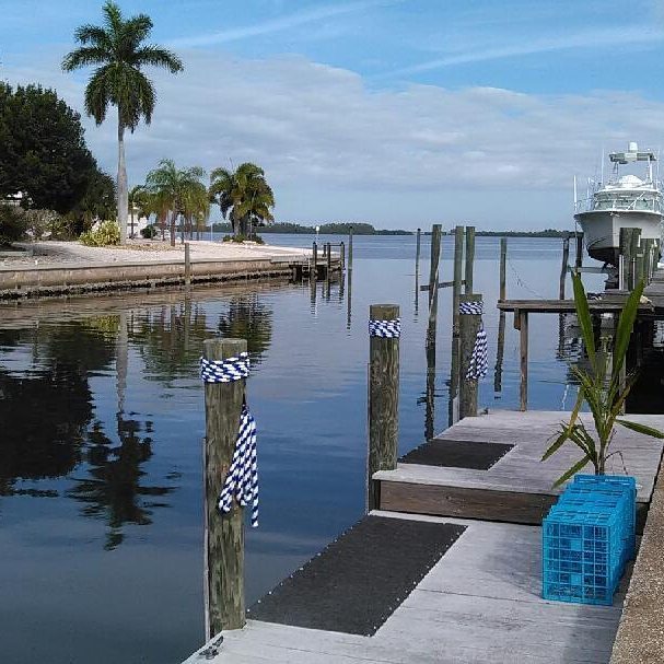 LoveThisPlaceF's tweet image. This was my view earlier . . . How much does my life suck? ;-) #itdoesnt #ilovethisplace #FL2016 #whataview by jack…