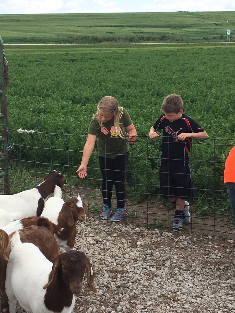 MariaEhrke's tweet photo. Barn Yard fun today!! @sv_elem https://t.co/lZcffefvxf