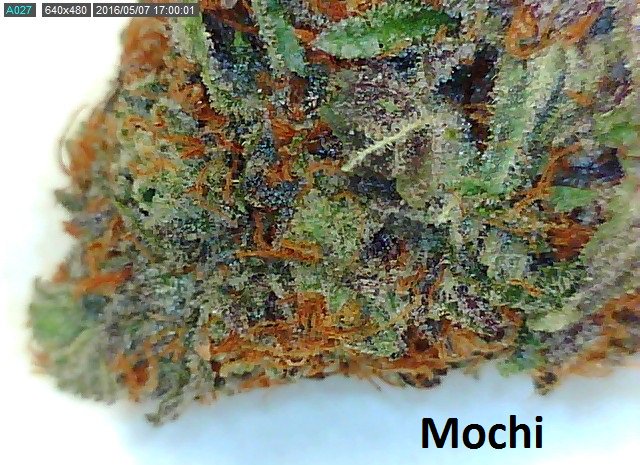SCGenetics's tweet image. We are on Weedmaps, please check out our menu ! weedmaps.com/dispensaries/s…