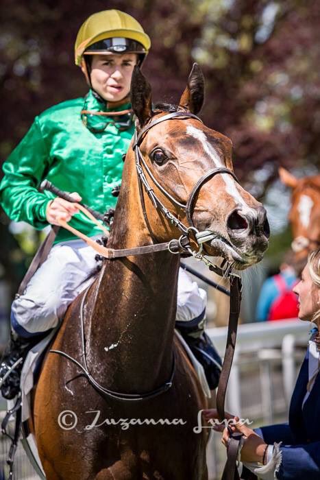 She rocks ! #horseracing