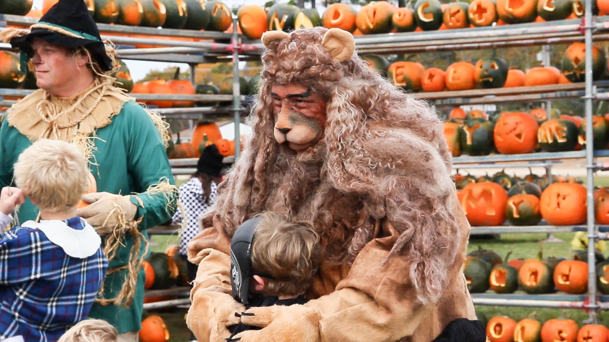 PumpkinFest2015's tweet photo. Mark your calendars! 10/15/16 will be here soon!  #mpfest2016 #monadnockpumpkinfestival  #pumpkinfest2016 https://t.co/keZgFEZsqy