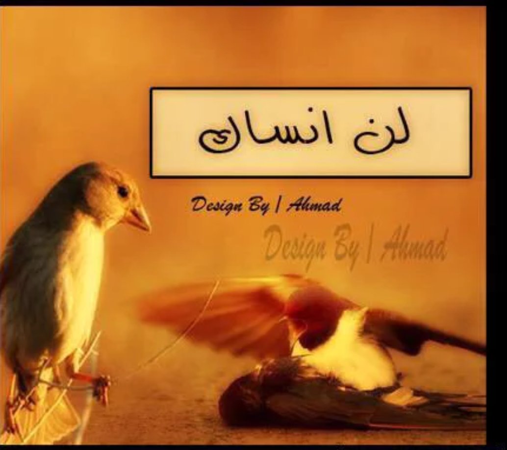الشوق  مثل الشوك مابين الازهار
ينبت عبث و يضايق ورود صدري !

يالله بحسن نية وخاتمة في الدنيا والآخرة نيتك الصالحة