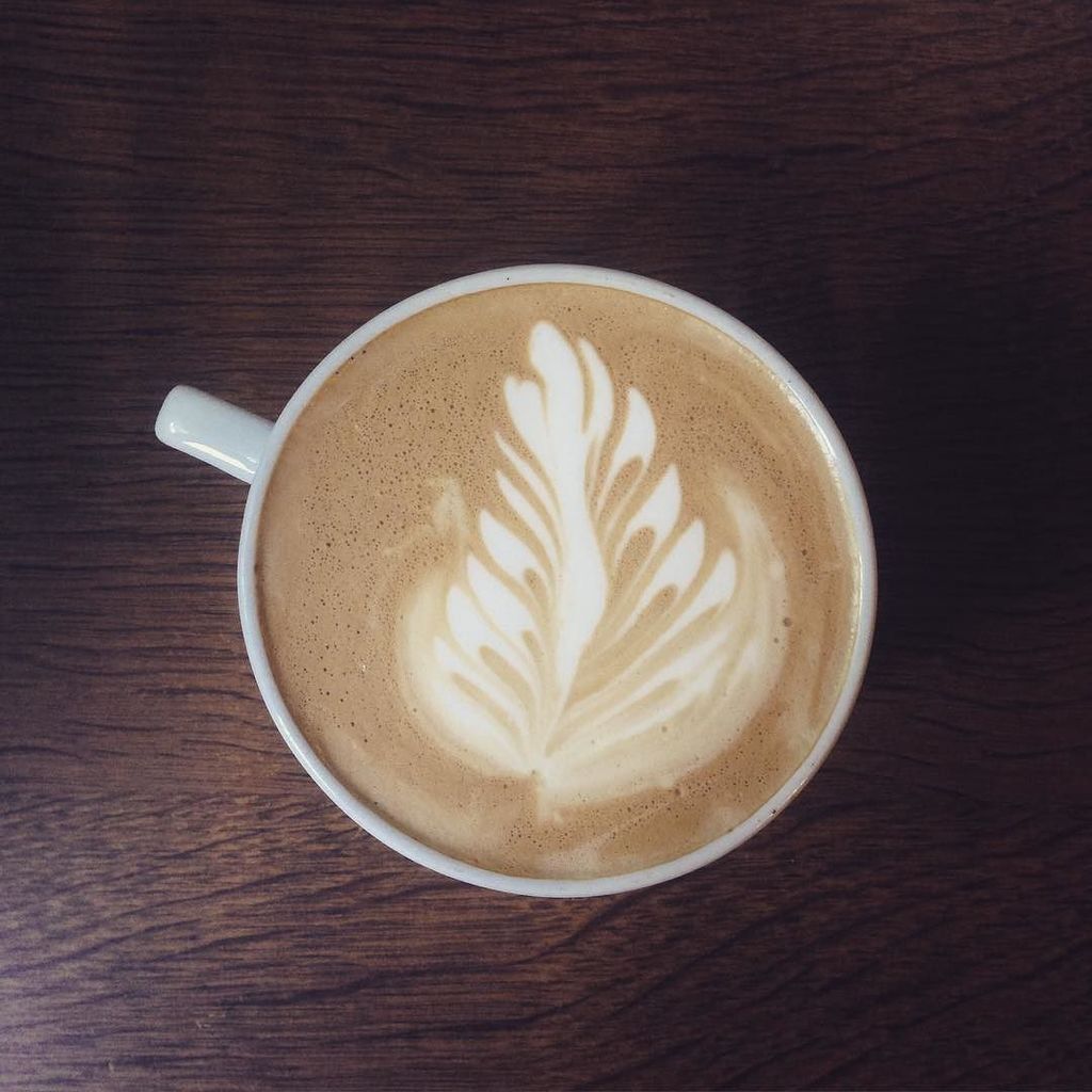 LoveCoffeeAlot's tweet photo. Getting my latte art on! #coffee #latte #leaf #milk #espresso #exchangecoffee #clitheroe #ribblevalley #coffeelover… https://t.co/vaIMbuZRy3